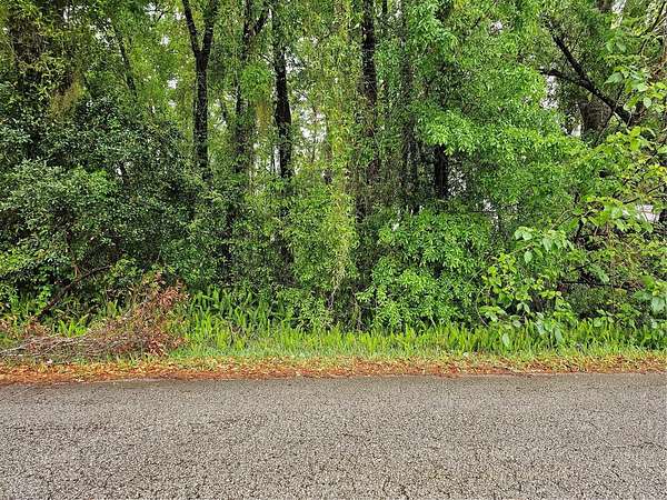 0.24 Acres of Residential Land for Sale in Ocala, Florida