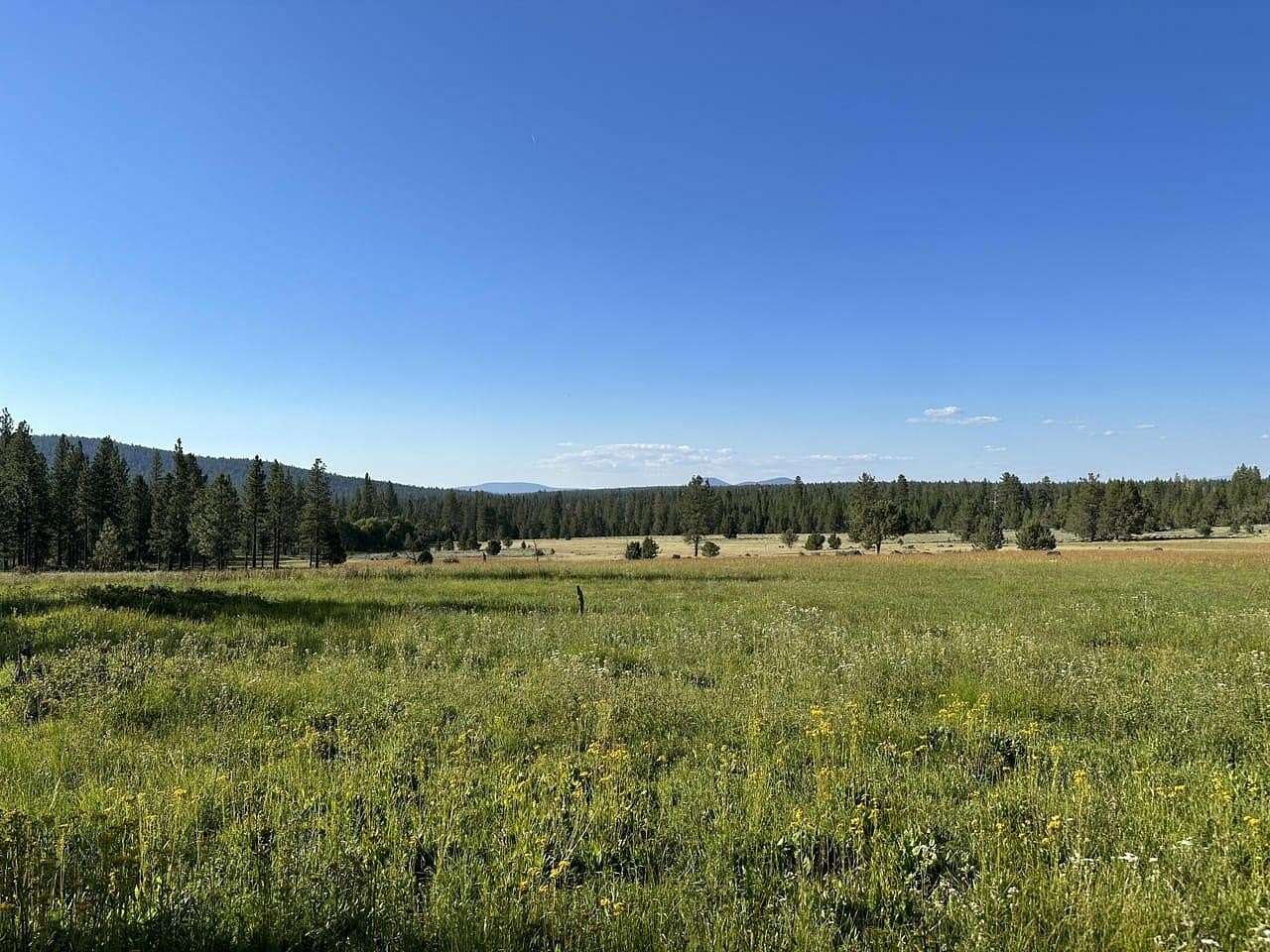 160 Acres of Recreational Land & Farm for Sale in Chiloquin, Oregon