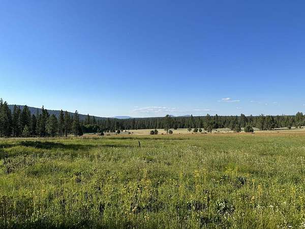 160 Acres of Recreational Land & Farm for Sale in Chiloquin, Oregon