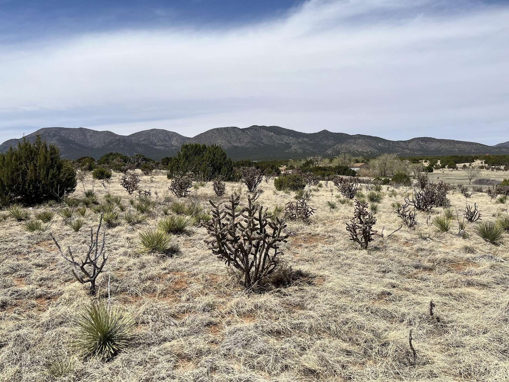 25 Acres of Land for Sale in Edgewood, New Mexico