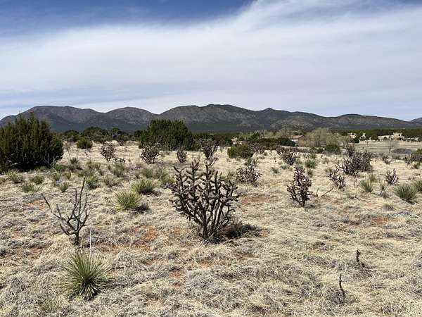 25 Acres of Land for Sale in Edgewood, New Mexico