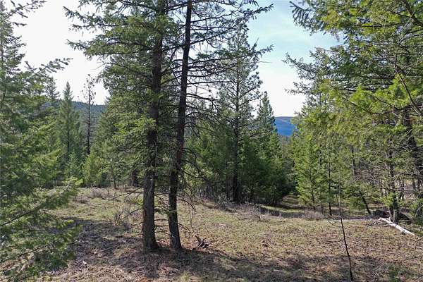 20 Acres of Recreational Land for Sale in Rexford, Montana