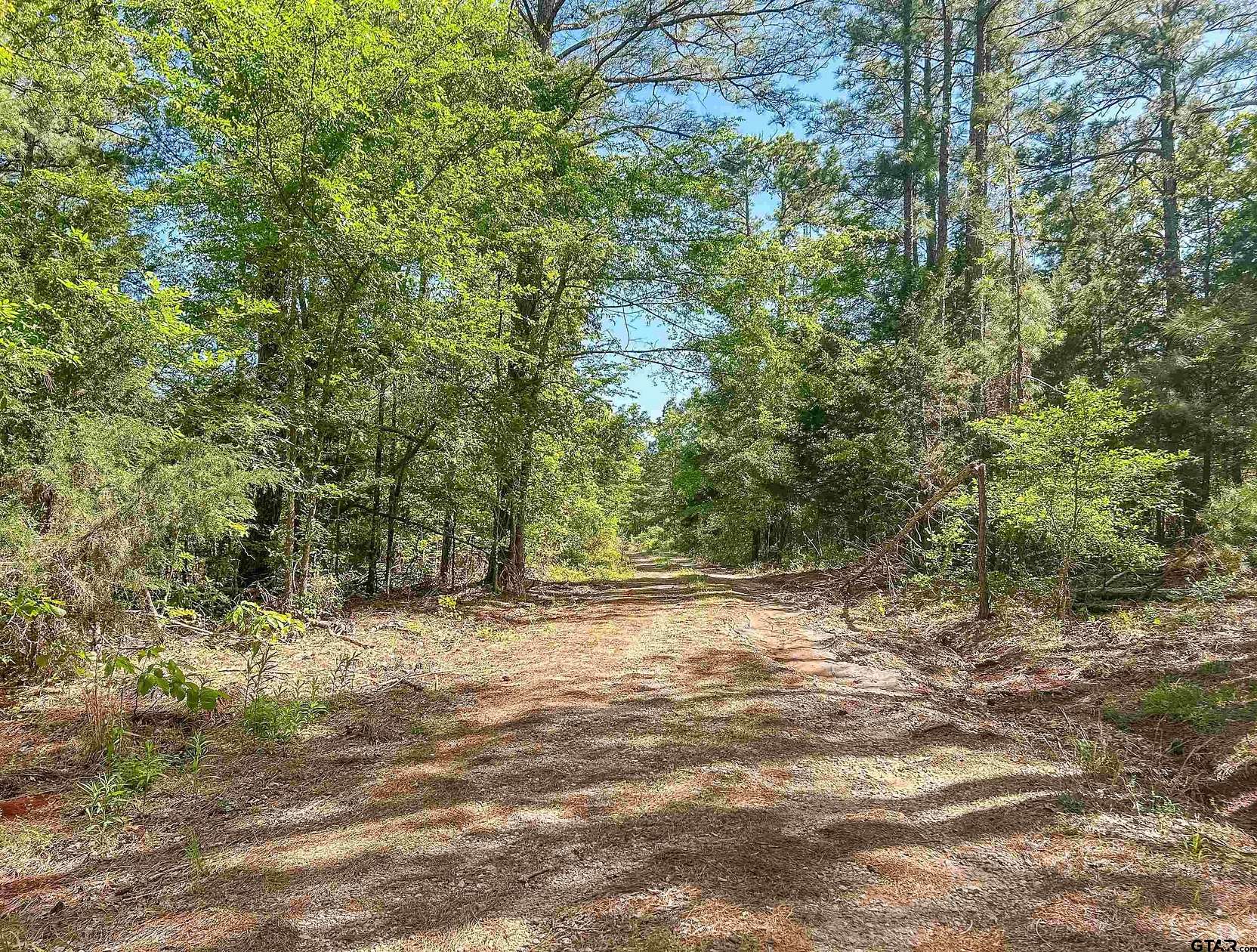 16 Acres of Land for Sale in Ben Wheeler, Texas