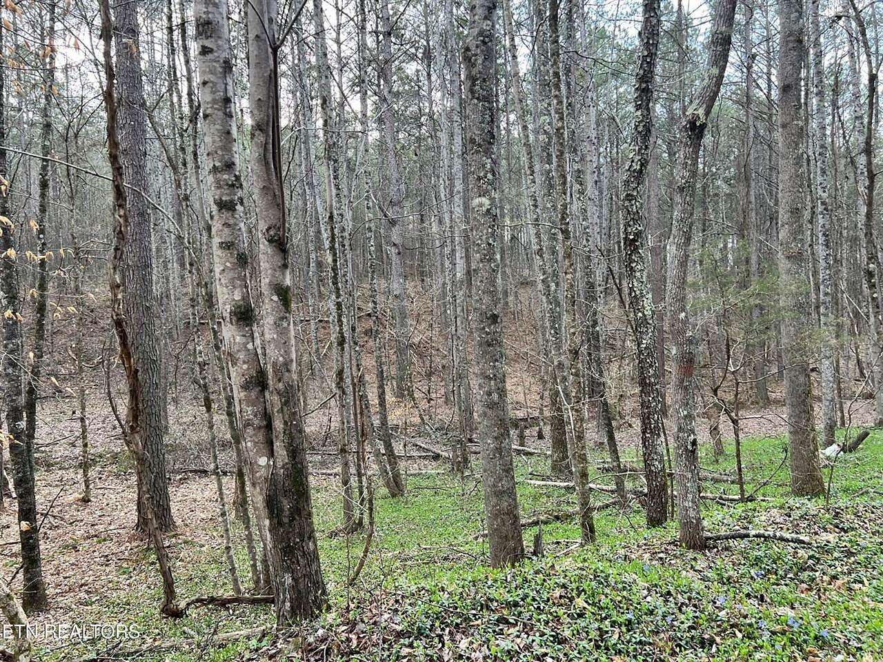 8.56 Acres of Land for Sale in Decatur, Tennessee