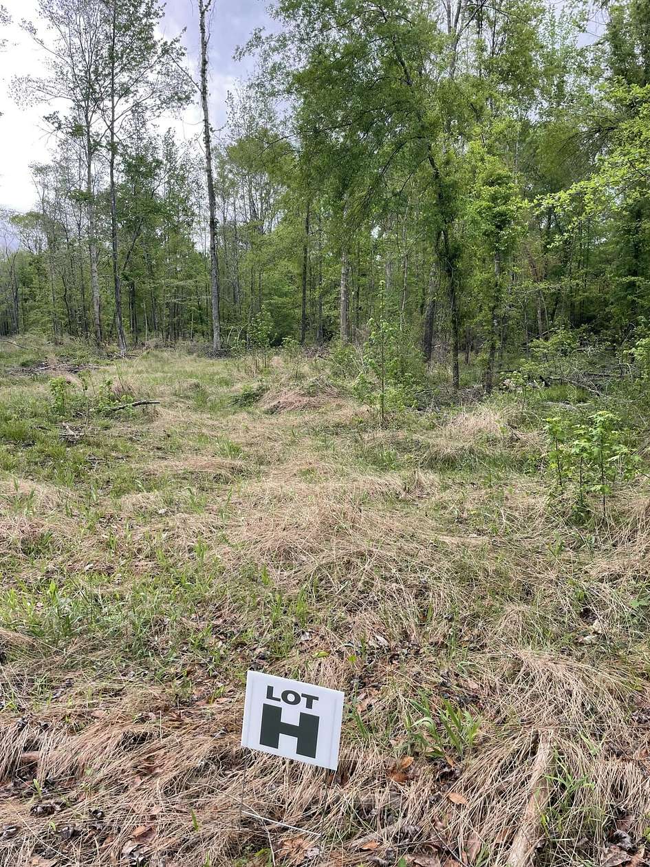 64.5 Acres of Land for Sale in Columbia, Mississippi