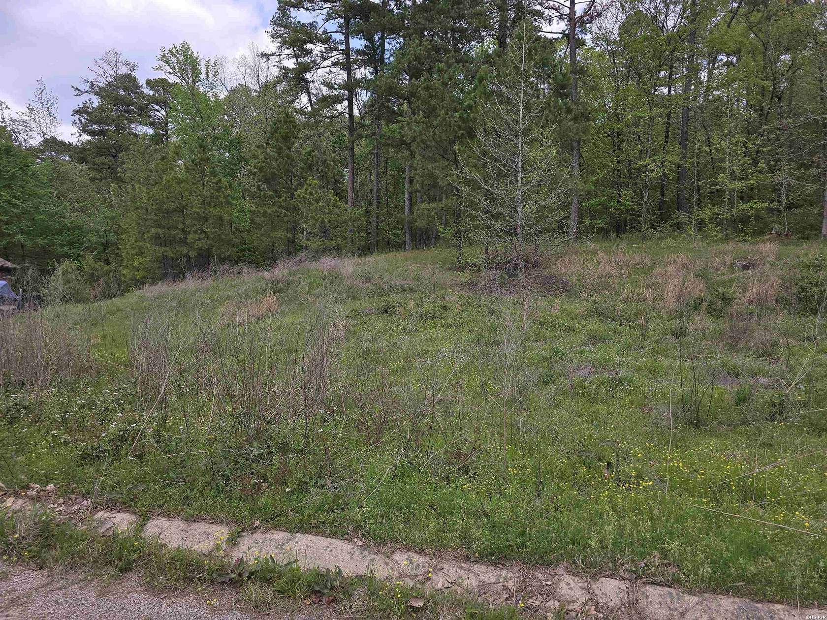 0.33 Acres of Residential Land for Sale in Hot Springs, Arkansas