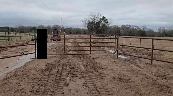 21.3 Acres of Recreational Land for Sale in Emory, Texas