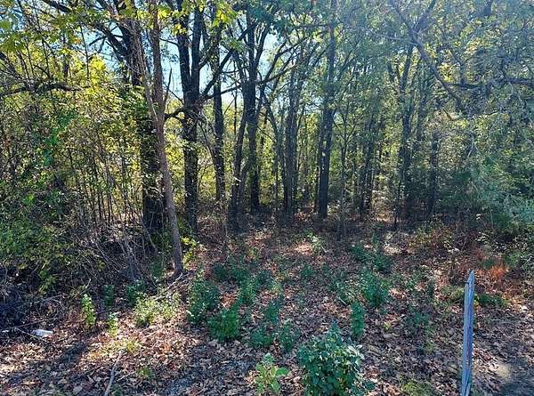 0.38 Acres of Residential Land for Sale in Gun Barrel City, Texas
