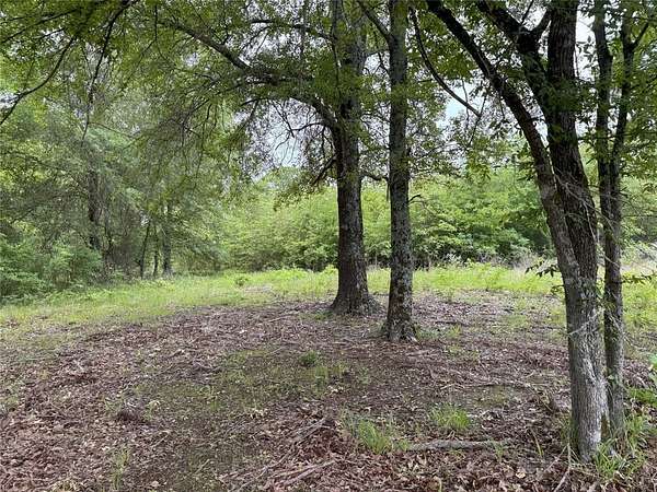 10 Acres of Agricultural Land for Sale in Alba, Texas