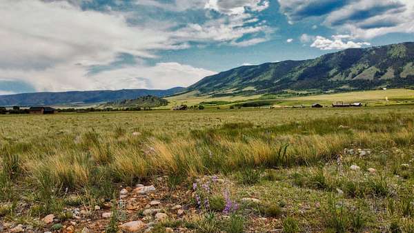 5.9 Acres of Land for Sale in Centennial, Wyoming