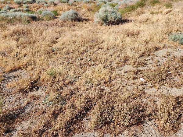 0.2 Acres of Land for Sale in Palmdale, California