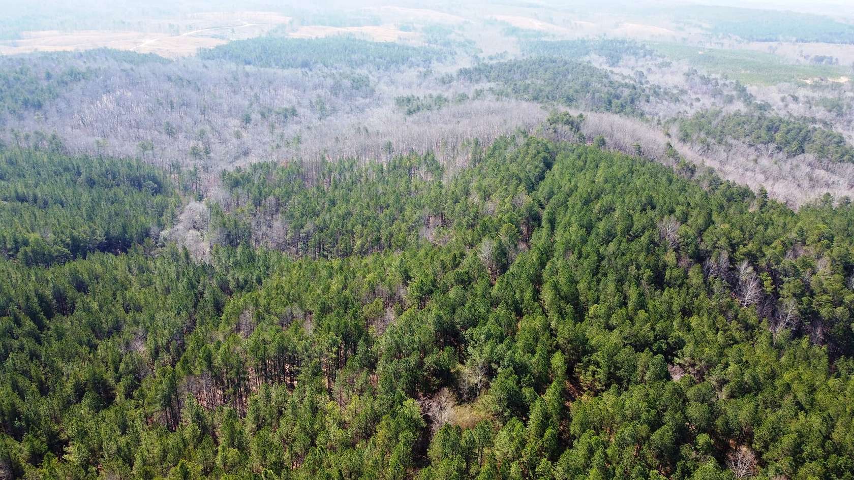 199 Acres of Recreational Land & Farm for Sale in Bear Creek, Alabama