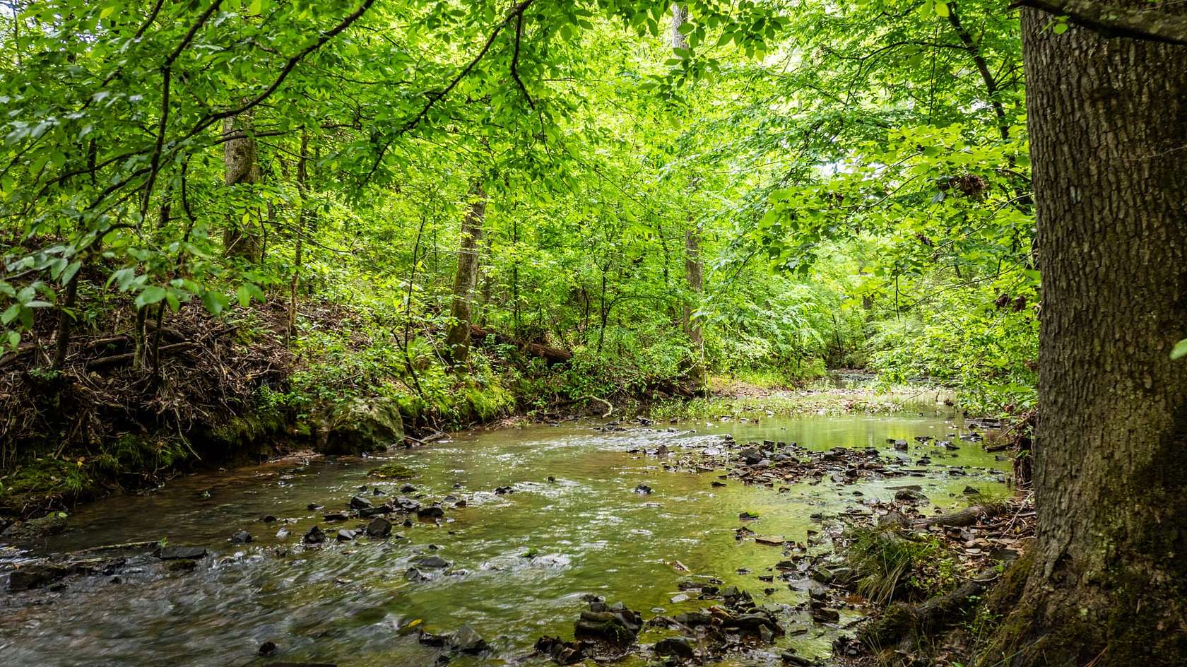 187 Acres of Recreational Land for Sale in Murfreesboro, Arkansas