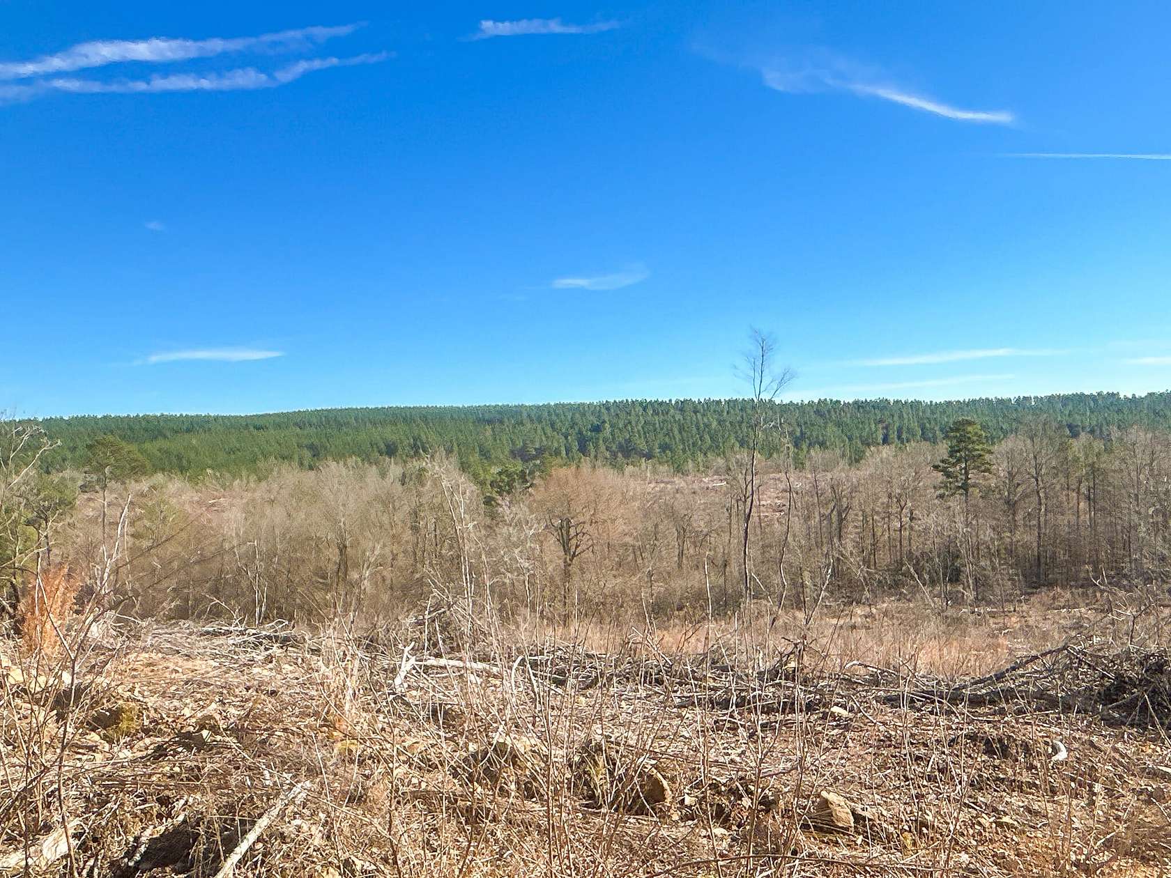 92 Acres of Recreational Land for Sale in Newhope, Arkansas