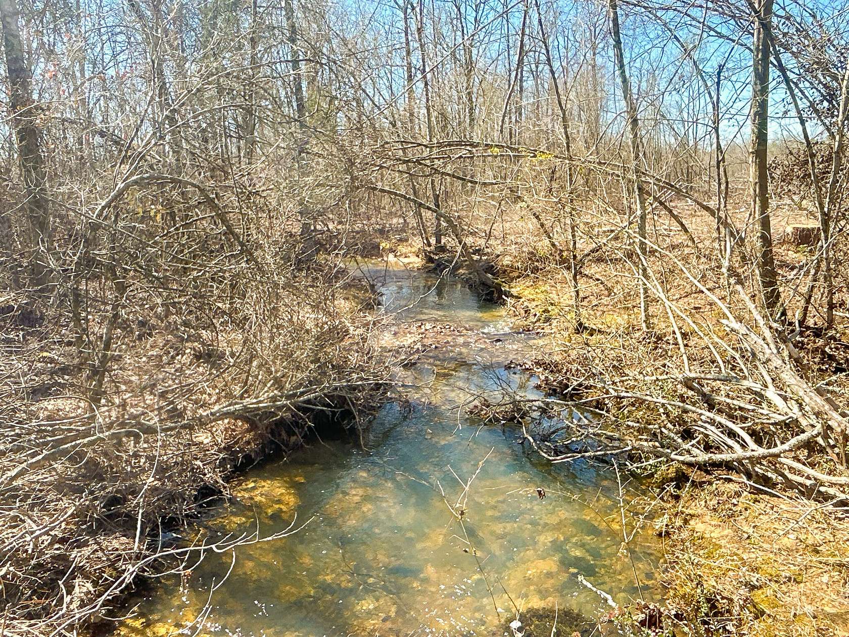 160 Acres of Recreational Land for Sale in Kirby, Arkansas