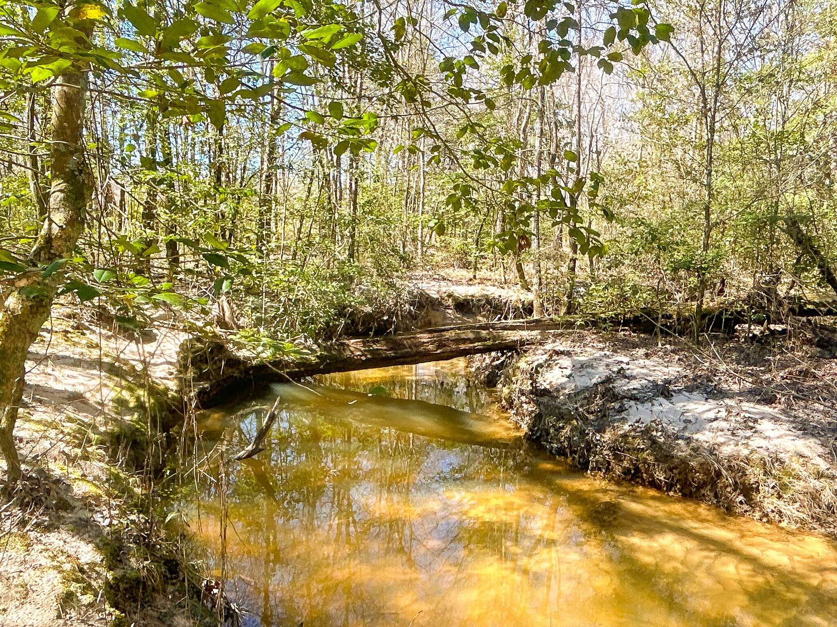 97 Acres of Recreational Land for Sale in Nashville, Arkansas