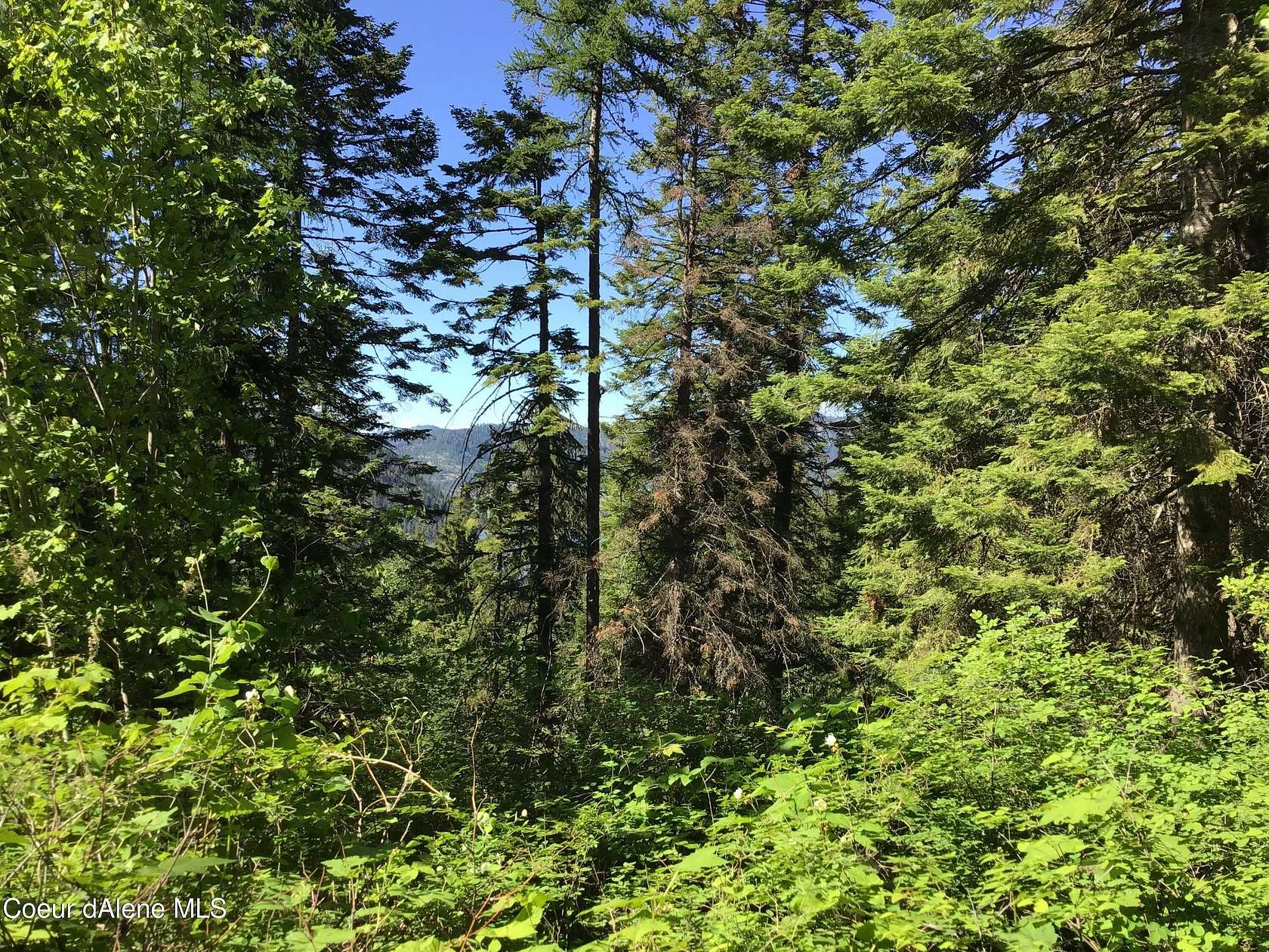 0.33 Acres of Land for Sale in St. Maries, Idaho