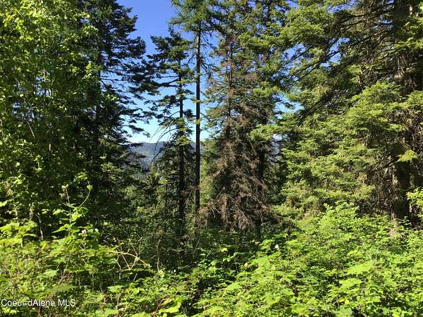 0.33 Acres of Land for Sale in St. Maries, Idaho