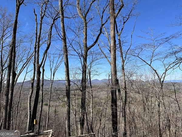 2 Acres of Residential Land for Sale in Mineral Bluff, Georgia