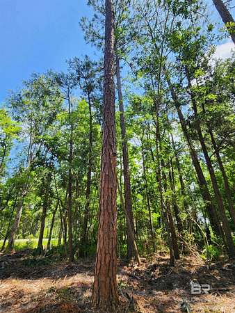 Residential Land for Sale in Lillian, Alabama
