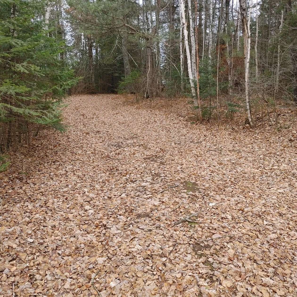 2.64 Acres of Land for Sale in Fifield, Wisconsin