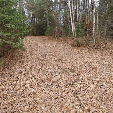 2.64 Acres of Land for Sale in Fifield, Wisconsin