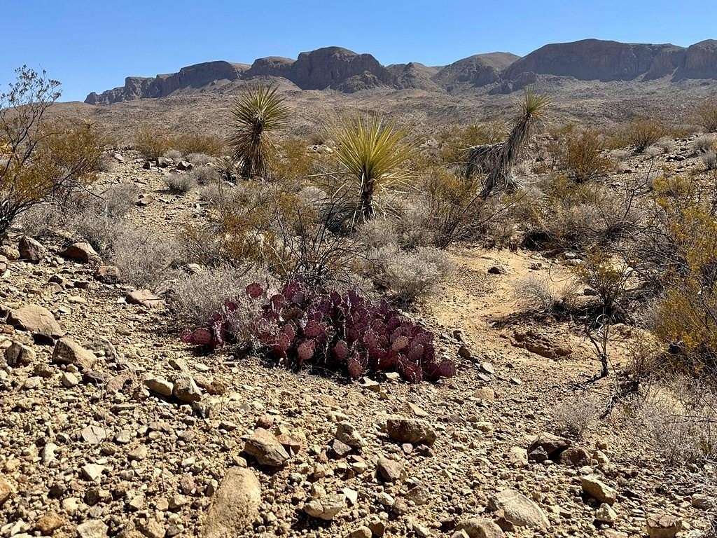 20 Acres of Recreational Land for Sale in Terlingua, Texas
