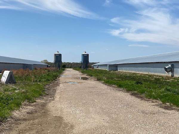 49.6 Acres of Agricultural Land for Sale in Dudley, Missouri