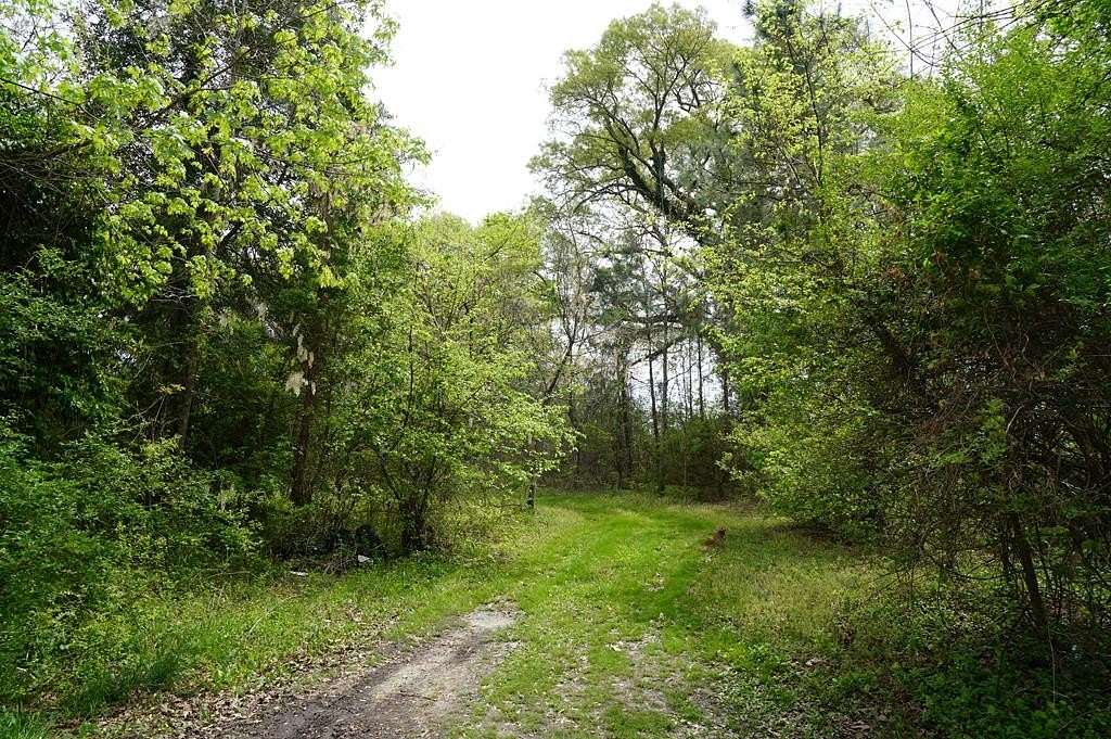 Residential Land for Sale in Brookneal, Virginia
