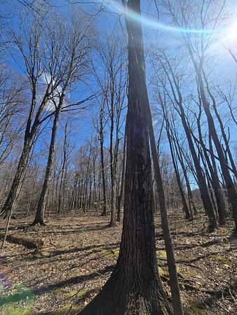 17 Acres of Recreational Land for Sale in Addison, Michigan