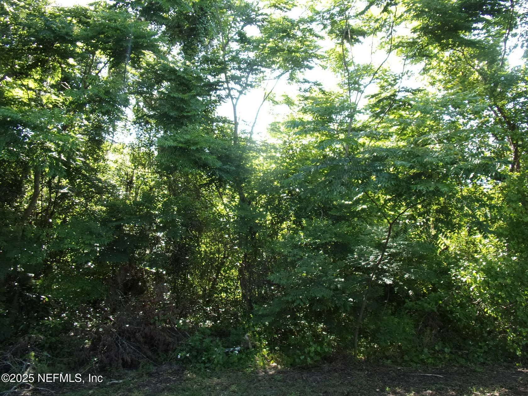 0.51 Acres of Residential Land for Sale in Palatka, Florida