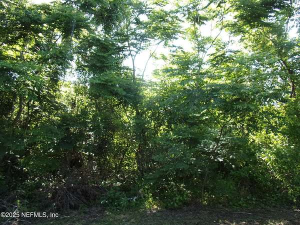 0.51 Acres of Residential Land for Sale in Palatka, Florida