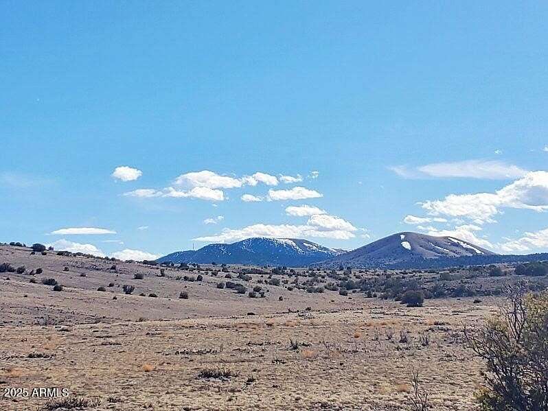 19.9 Acres of Recreational Land for Sale in Concho, Arizona