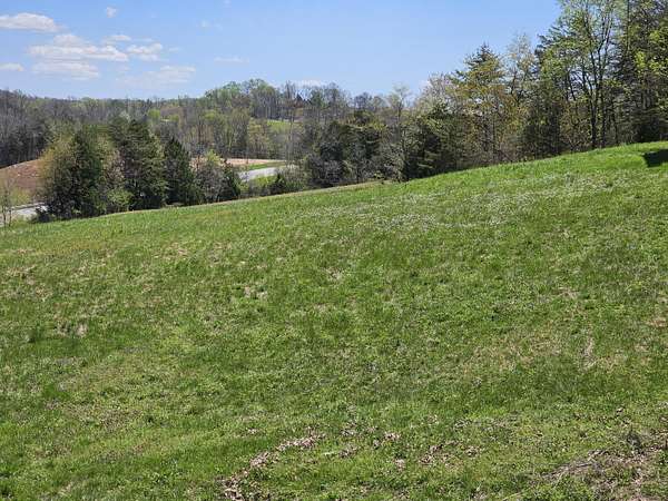 8.18 Acres of Land for Sale in Dunnville, Kentucky