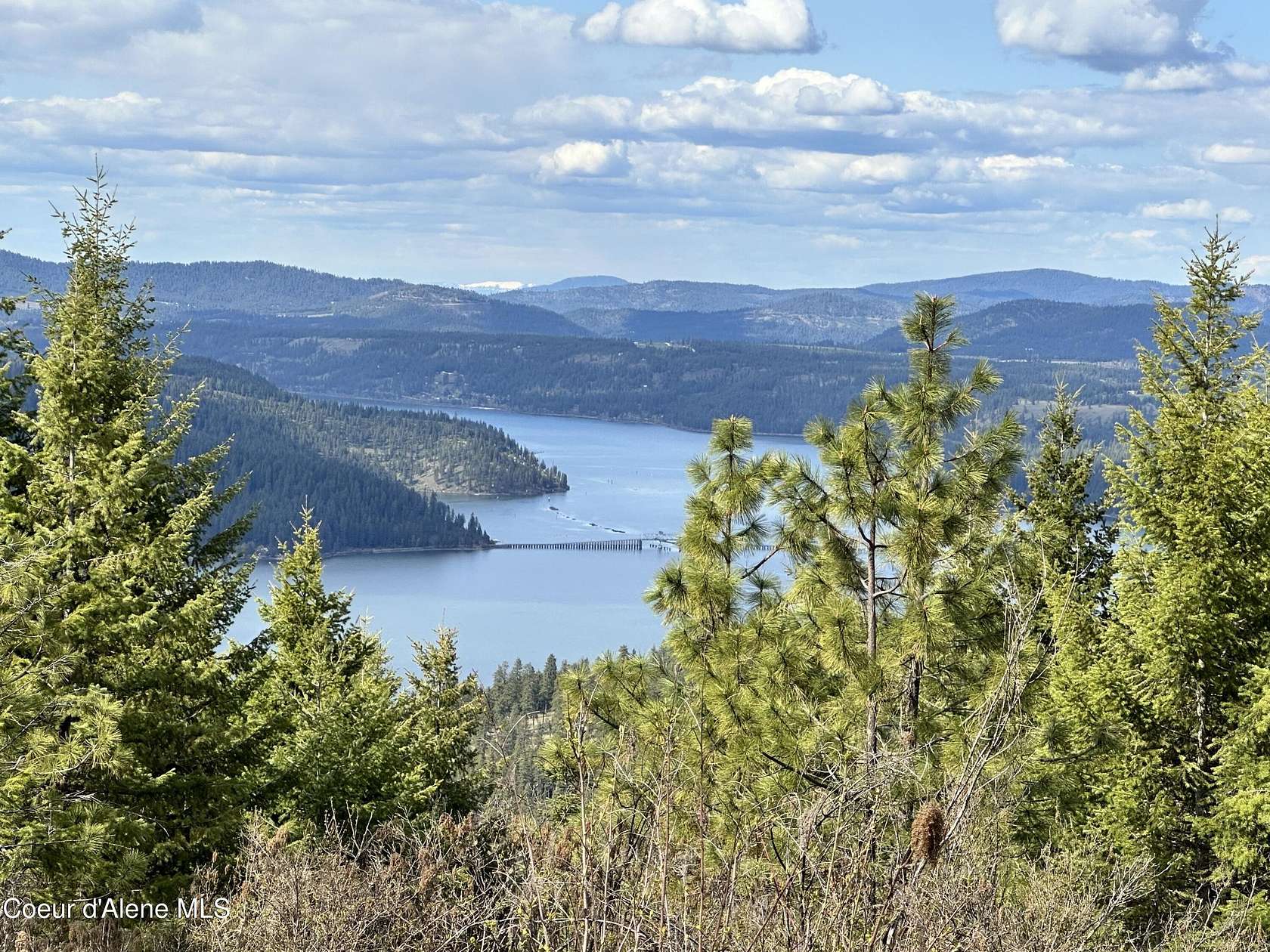 10 Acres of Recreational Land for Sale in Plummer, Idaho