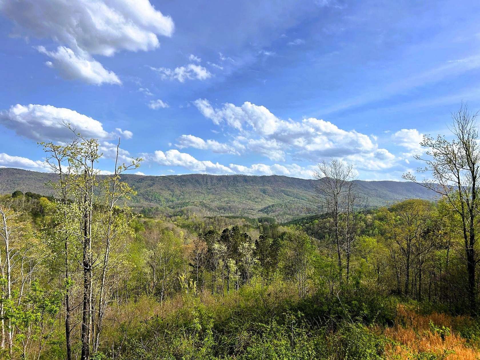83.2 Acres of Recreational Land for Sale in Englewood, Tennessee