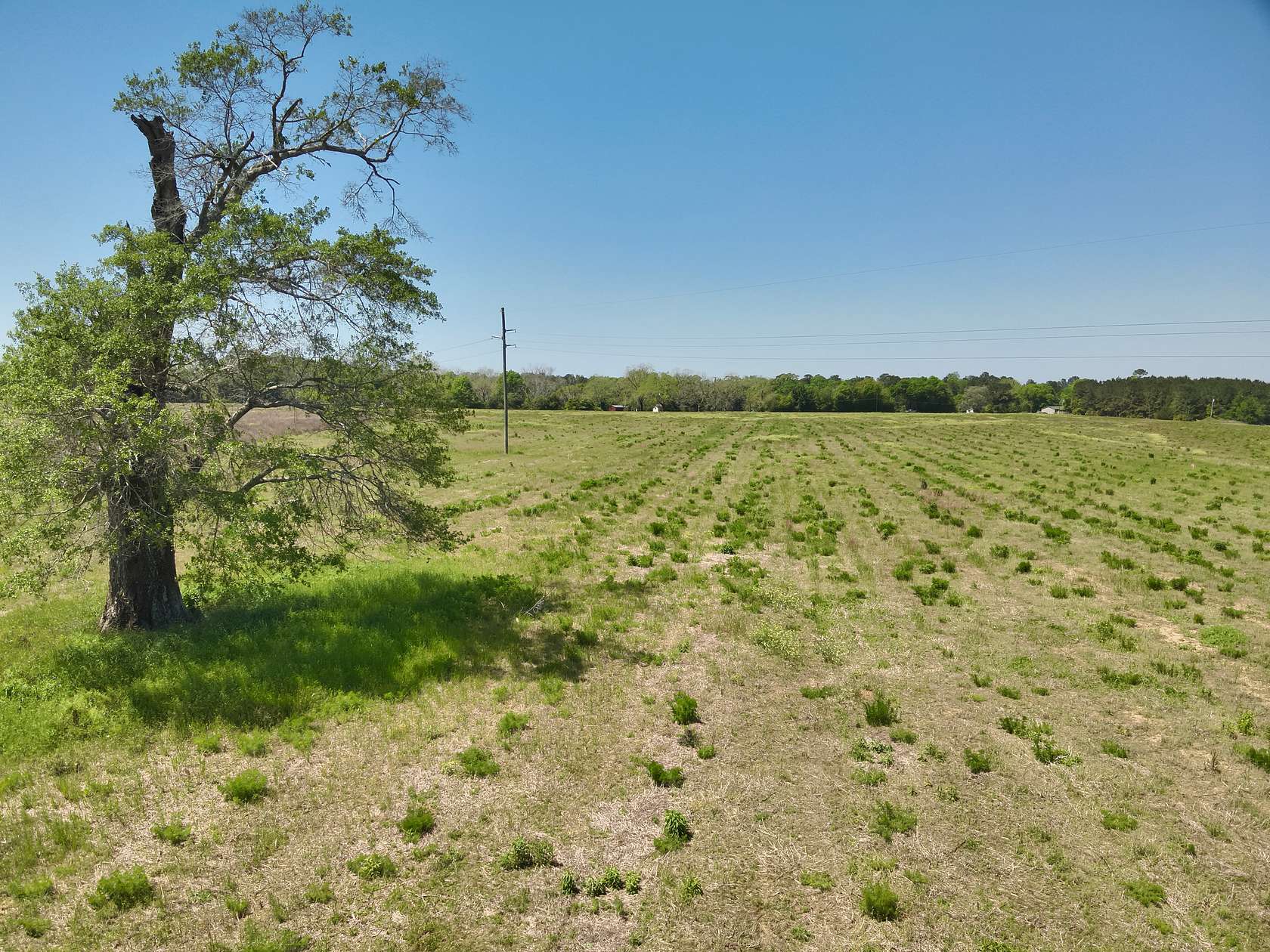 12 Acres of Land for Sale in Dothan, Alabama