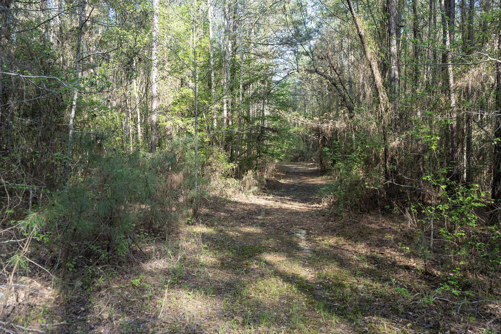65 Acres of Recreational Land & Farm for Sale in Choudrant, Louisiana