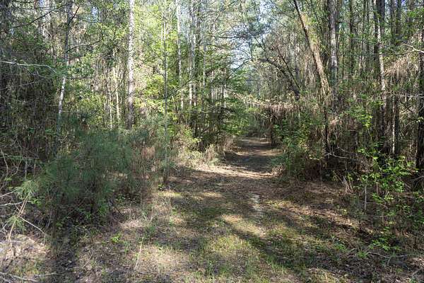 65 Acres of Land for Sale in Choudrant, Louisiana
