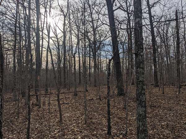 19.8 Acres of Recreational Land for Sale in Eminence, Missouri