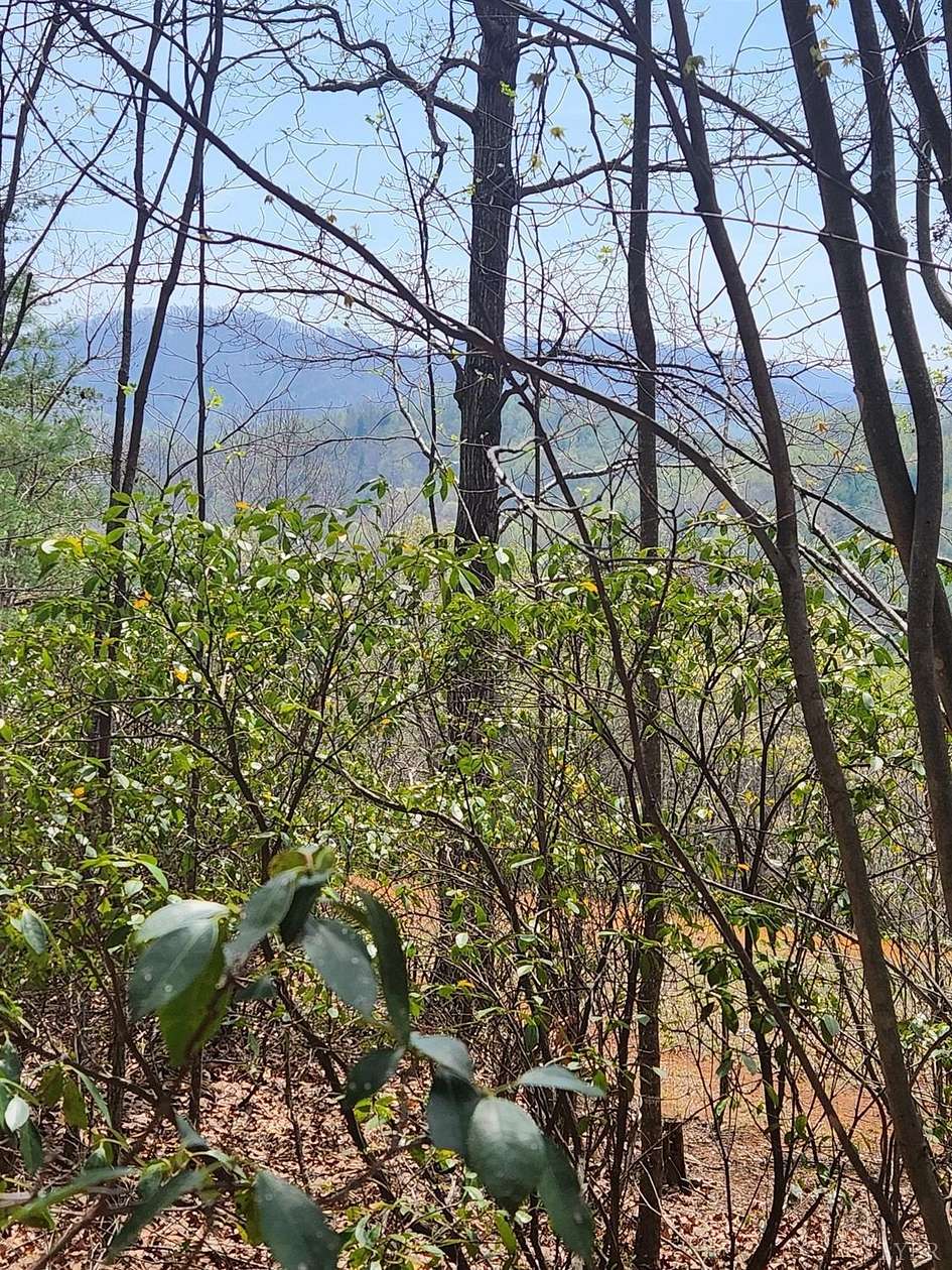 18 Acres of Recreational Land for Sale in Amherst, Virginia