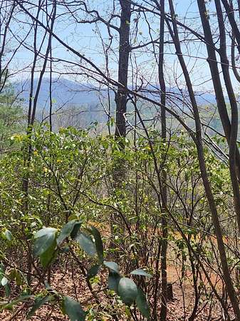 18 Acres of Recreational Land for Sale in Amherst, Virginia