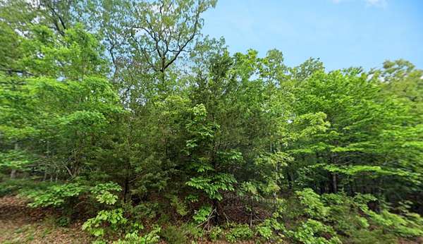 0.88 Acres of Residential Land for Sale in Horseshoe Bend, Arkansas