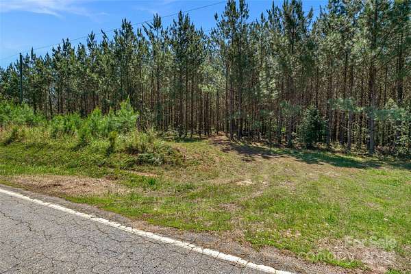 45 Acres of Recreational Land for Sale in Blackstock, South Carolina