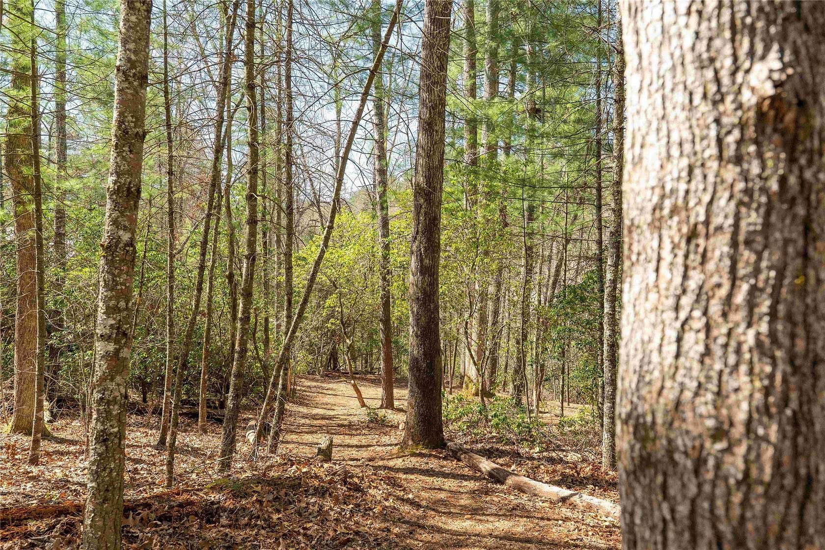 1.26 Acres of Residential Land for Sale in Sapphire, North Carolina
