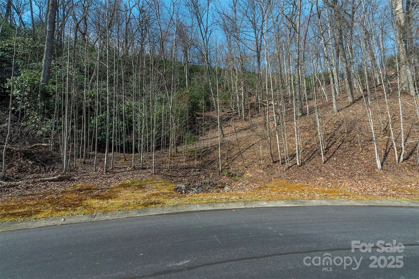 Residential Land for Sale in Horse Shoe, North Carolina