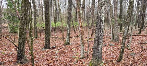 0.53 Acres of Residential Land for Sale in Jim Thorpe, Pennsylvania