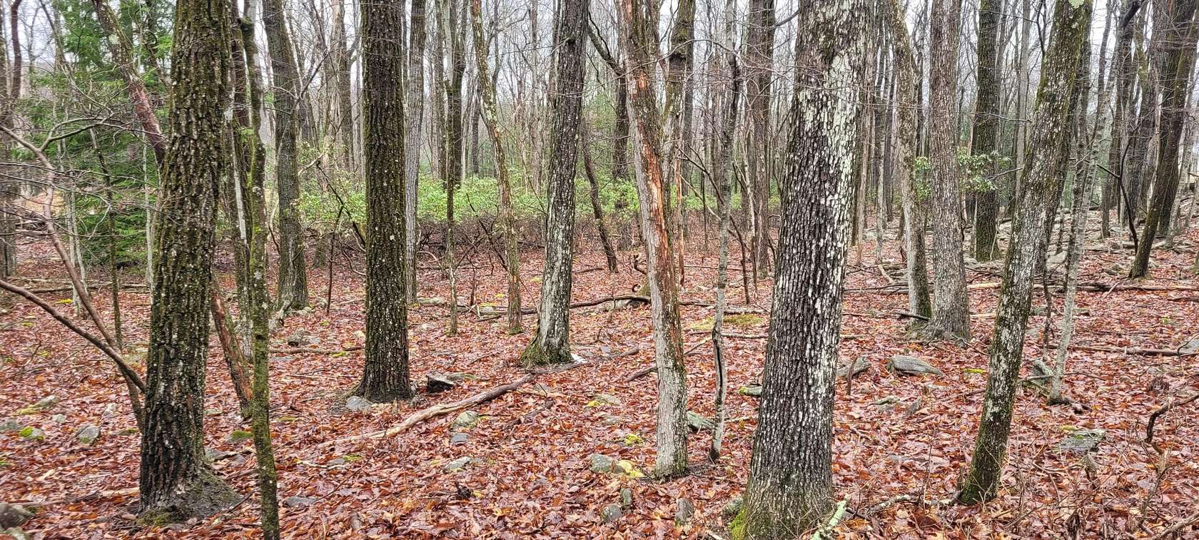 0.53 Acres of Residential Land for Sale in Jim Thorpe, Pennsylvania