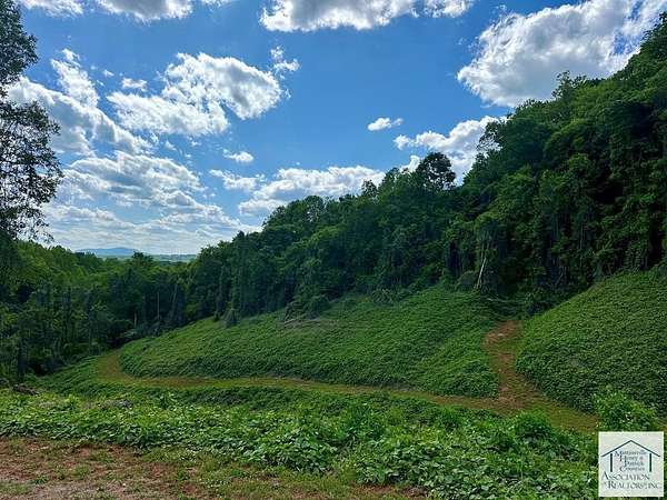17.2 Acres of Recreational Land for Sale in Bassett, Virginia