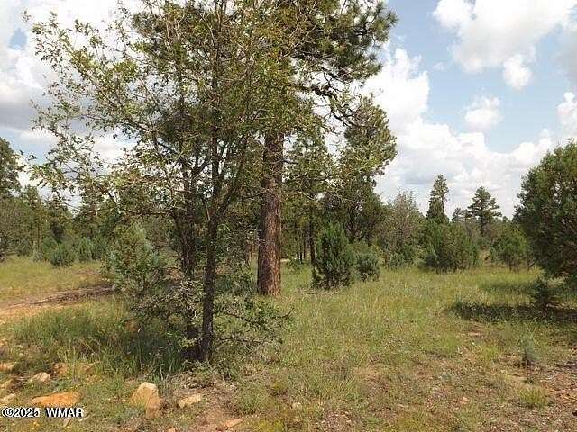 4.6 Acres of Residential Land for Sale in Overgaard, Arizona